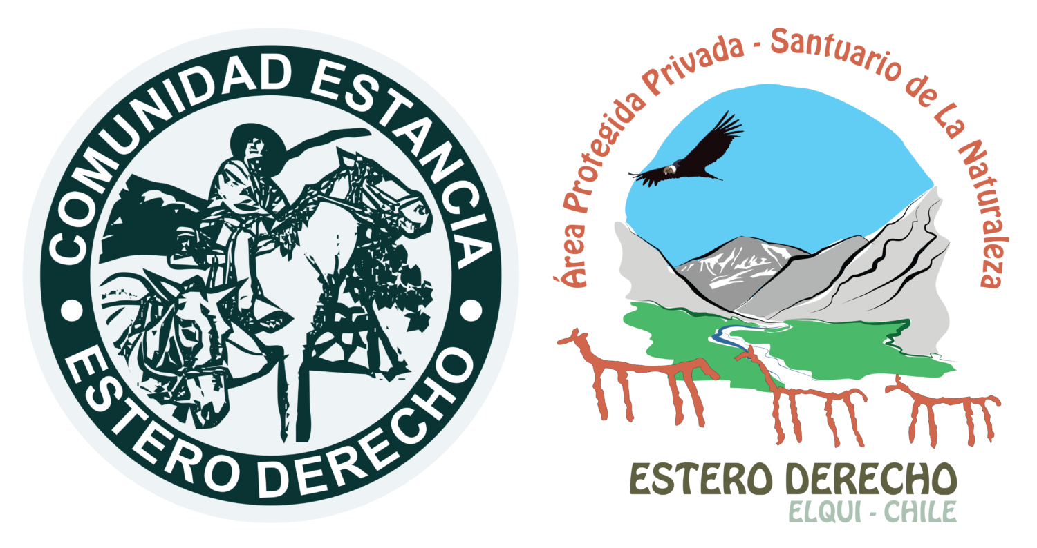 Estero Derecho